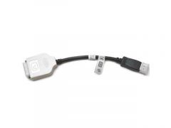 Display Port to DVI-D SL Adapter Cable