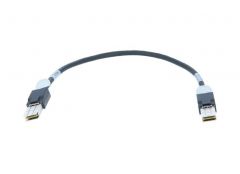 Stackwise Plus Stacking Cable