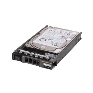 300GB SAS 12Gb/s 10000RPM 2.5-inch Internal Hard Drive with G176J Tray